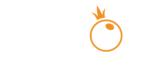 ویزا logo